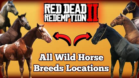 how to catch a wild horse in rdr2